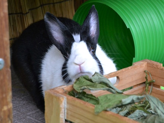 210905 okkiDSC_2479 (2)