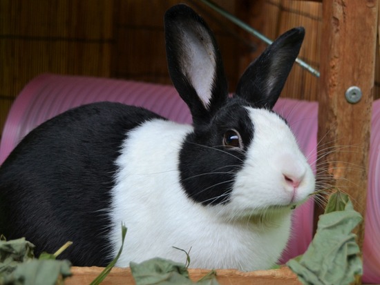 210912 powa DSC_2136 (2)