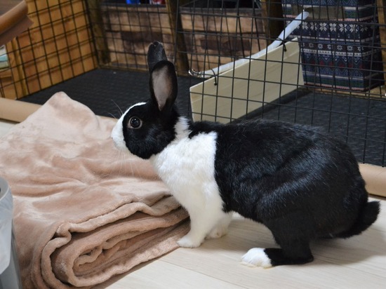 211107 b2 DSC_1554 (2)