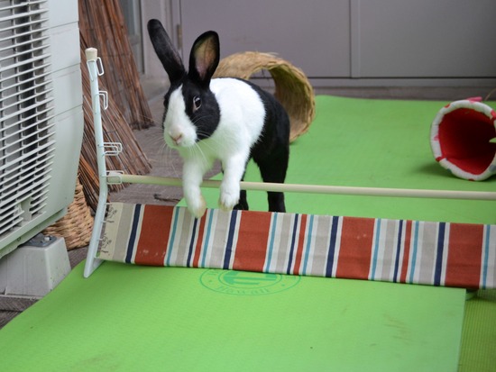 210905 こまDSC_2251 (2)