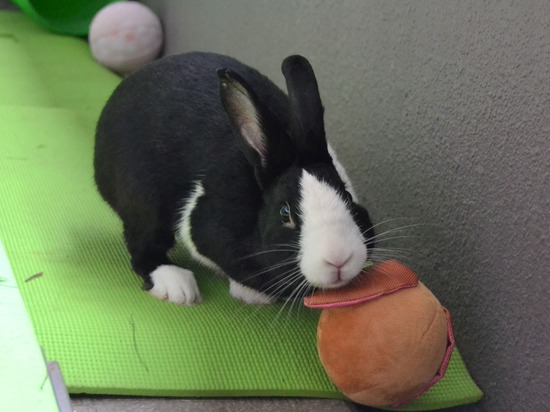 210912 bi2 DSC_0081 (2)