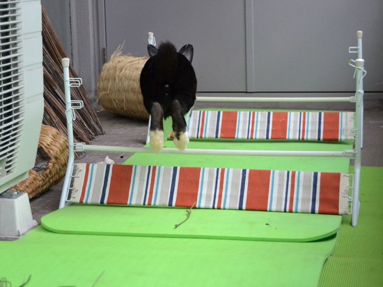 210912 bi2 DSC_2927 (2)