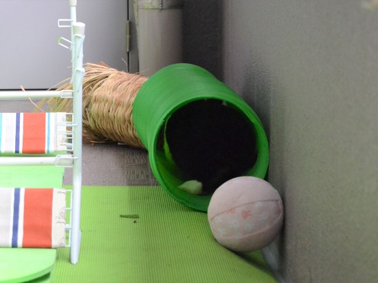 210912 bi2 DSC_0230 (2)