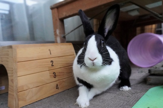 20230429みるDSC06861