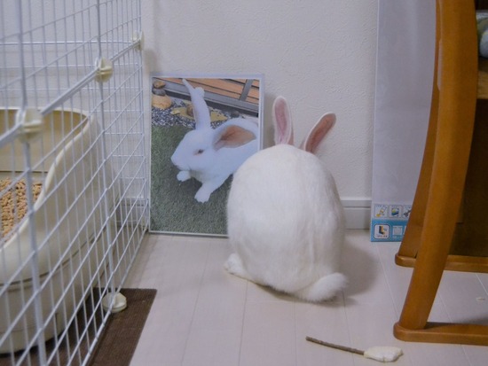 210828 ミルクDSC_2060 (2)