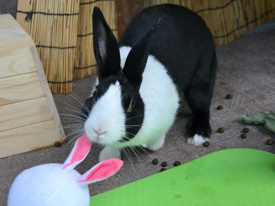 210905 itoDSC_3022 (2)