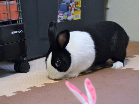 210723 ぽわDSC_2936 (2)