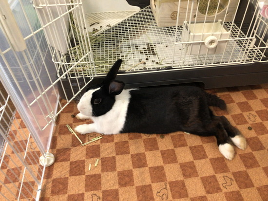 16F7B2BF-EFD7-4442-8171-09115FA500DC