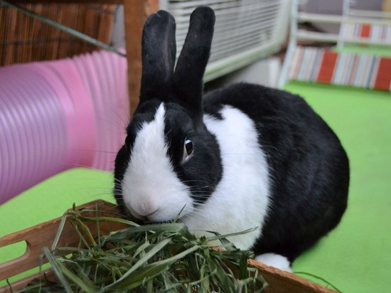 211024 b2DSC_1426 (2)