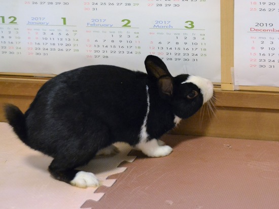 210723 オビワンDSC_2719 (2)