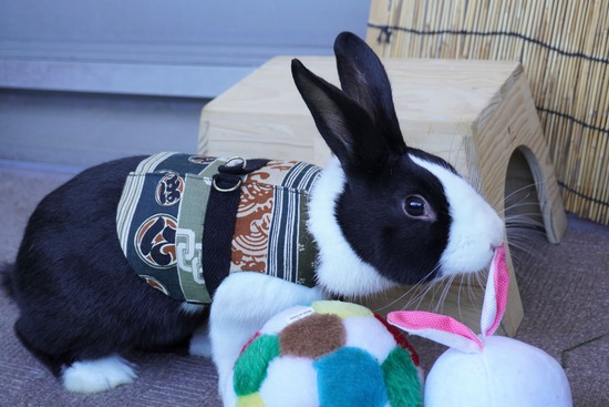 220101クッキーDSC00640 (2)