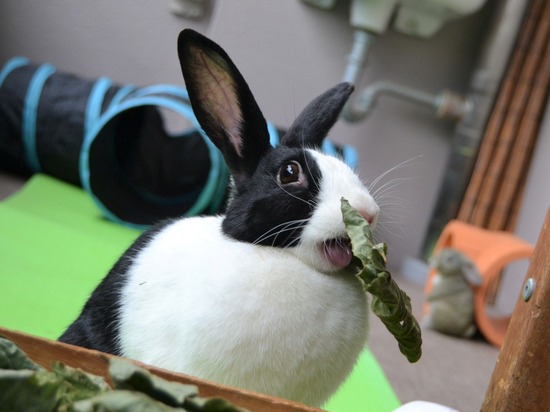 210905 こまDSC_2075 (2)