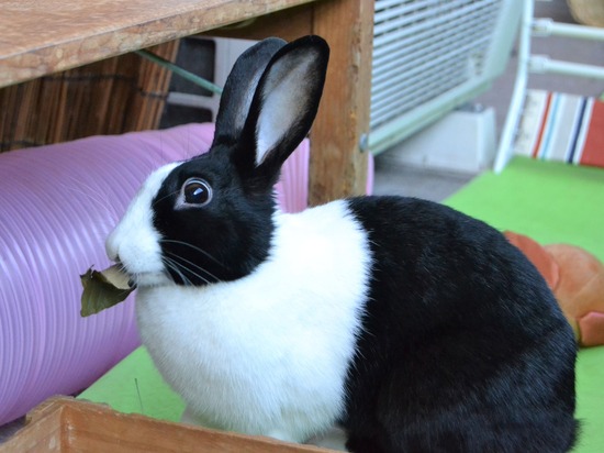 211123 komaDSC_1465 (2)