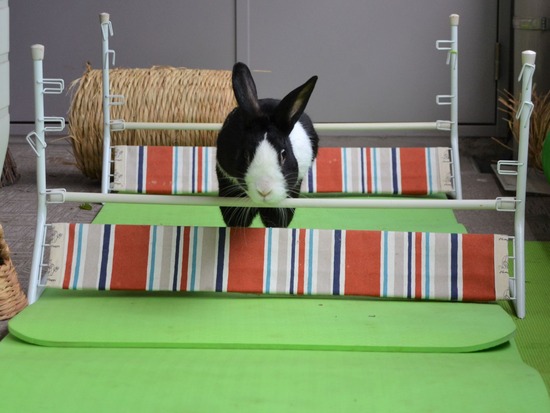 210912 obi DSC_2441 (2)