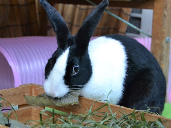 211123 komaDSC_1392 (2)