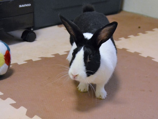 210723 たまDSC_3197 (2)