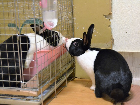 210723 ビーツDSC_0243 (2)