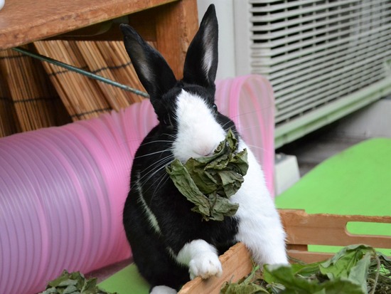 210912 bi2 DSC_2855 (2)