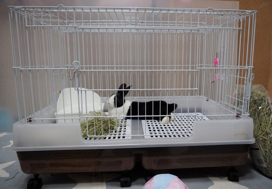 20230729げんDSC01733