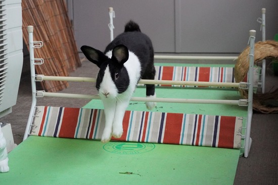 20230429げんDSC06866 (2)