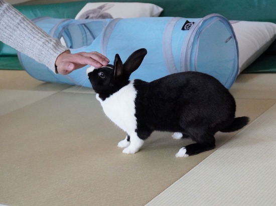 230108もなかDSC04686 (2)