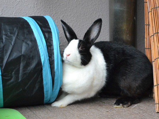 210912 okki DSC_0355 (2)