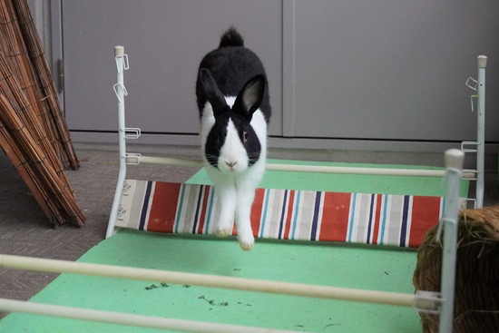 20230429げんDSC06893 (2)