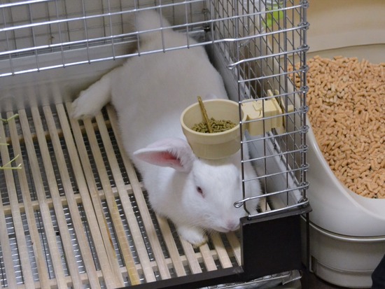 210828 ミルクDSC_2178 (2)