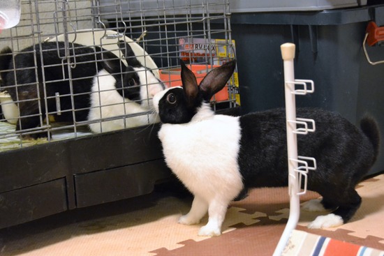 210815 たまDSC_2083 (2)