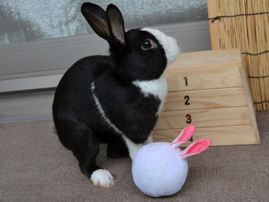 210912 obi DSC_2653 (2)