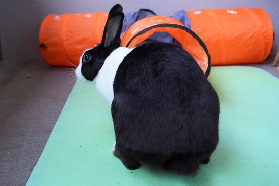 20230429くりDSC06202