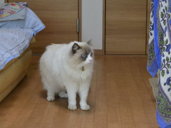 210403 DSC_2083 (2)