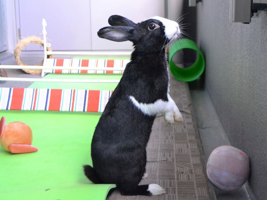 211009 ビーツDSC_1444 (2)