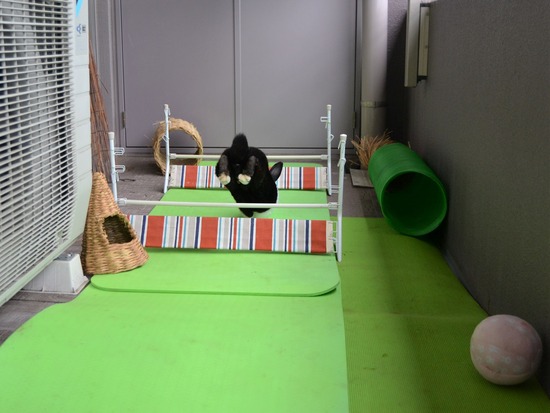 210912 powa DSC_2057 (2)