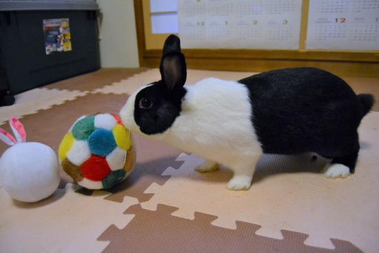 210723 ぽわDSC_2994 (2)