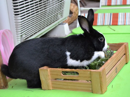 210912 bi2 DSC_0149 (2)