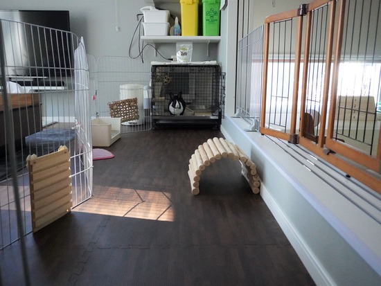 230108もなかDSC04628 (2)