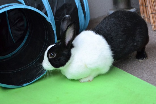 210912 okki DSC_0416 (2)