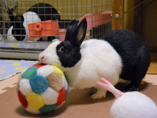 210815 おっきDSC_2304 (2)