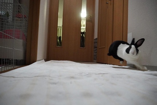 ゆめ329498032_584207496535047_1696452835228320413_n