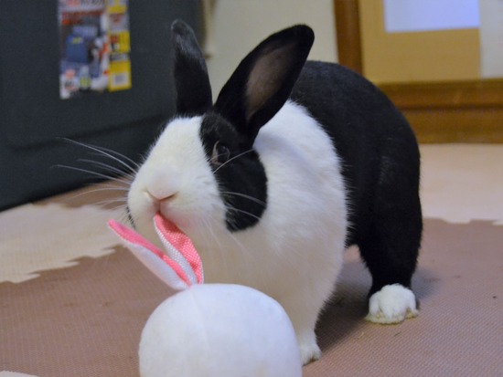 210723 ぽわDSC_2946 (2)