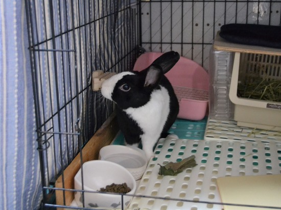 211107 b2 DSC_1569 (2)