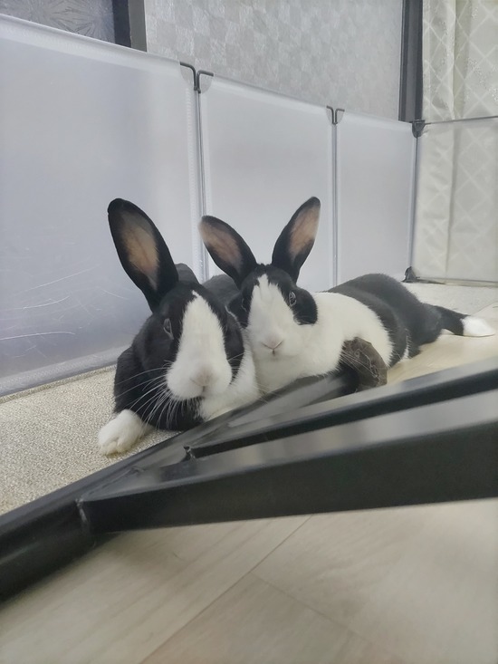 BeautyPlus_20231230225744853_save