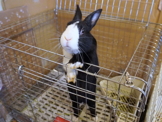 230212こんDSC05315