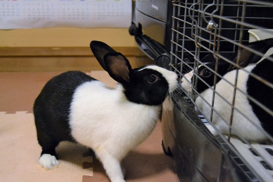 210815 こまDSC_2207 (2)