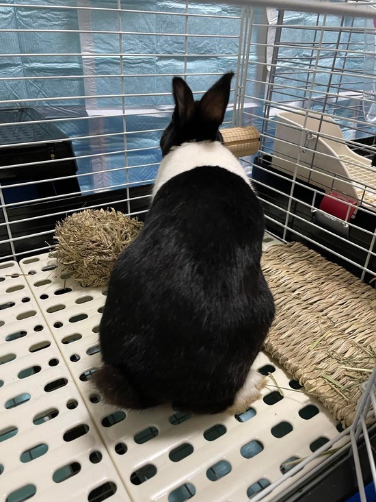 ao324452097_500352385332279_3078646186444126904_n