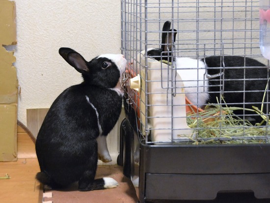 210723 オビワンDSC_2901 (2)