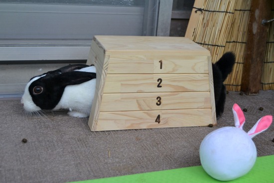 210905 itoDSC_2979 (2)