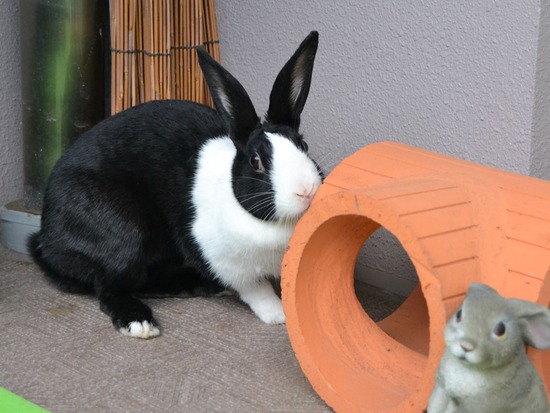 210905 itoDSC_2984 (2)