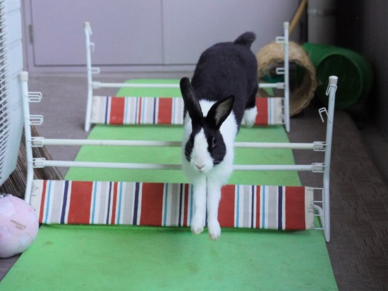 220212komaDSC06059 (2)